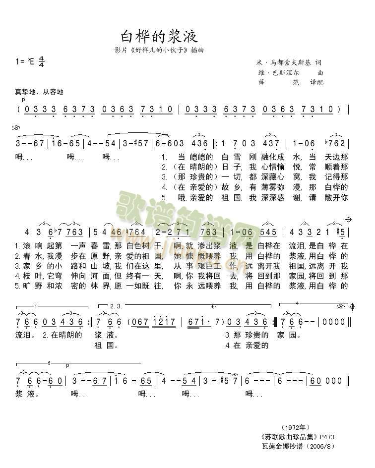 白桦的浆液简谱