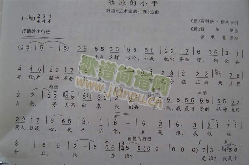 冰凉的小手简谱