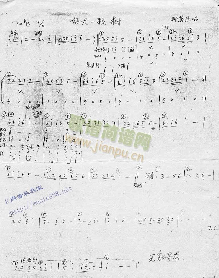 好大一棵树（乐队乐谱）[手稿]简谱