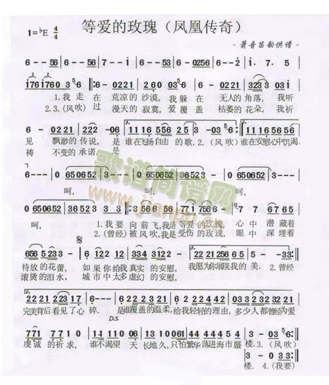 等爱的玫瑰简谱