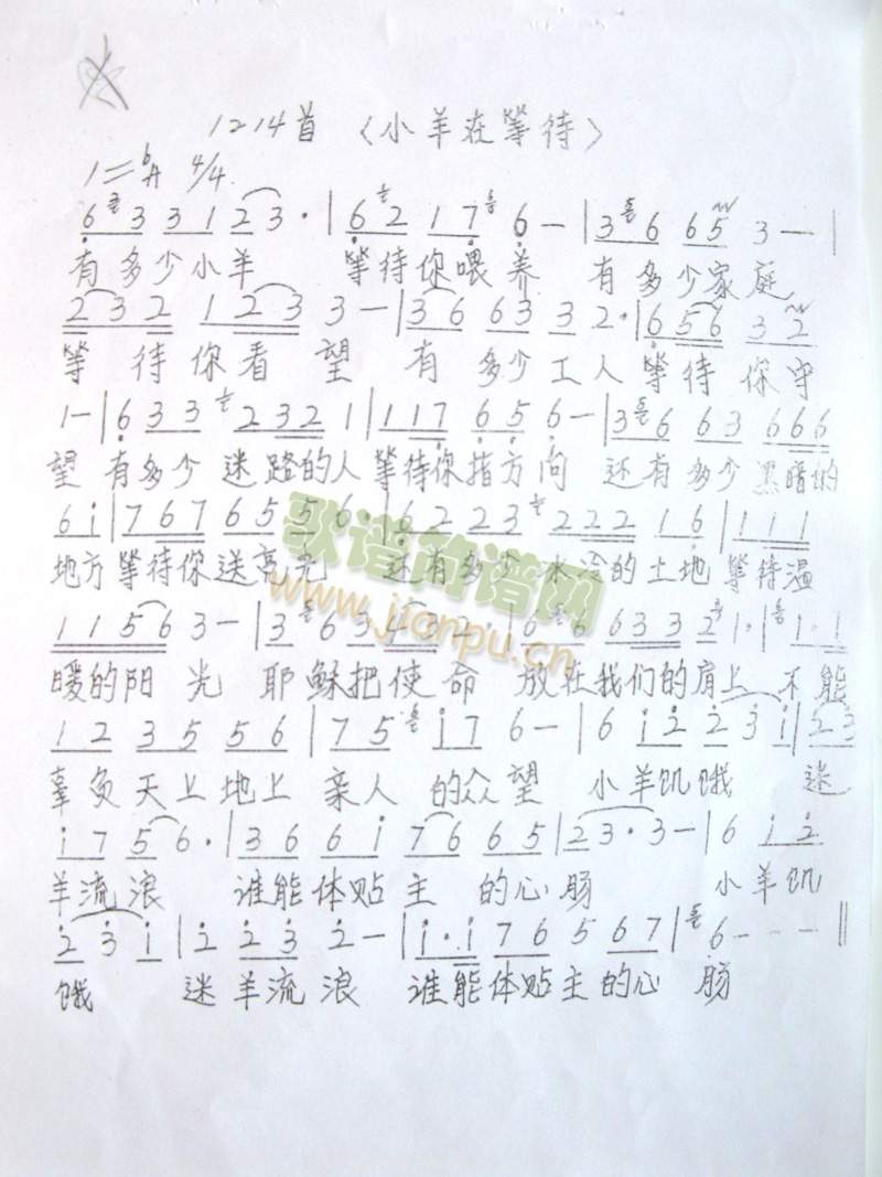 小羊在等待简谱