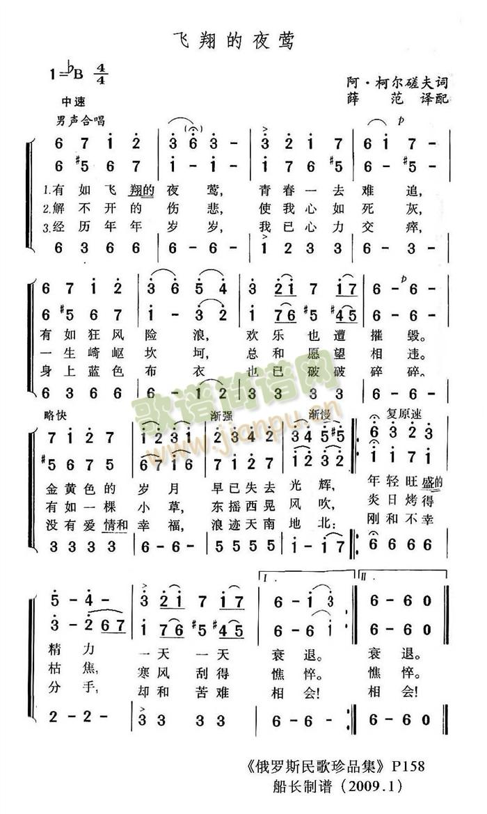 飞翔的夜莺简谱
