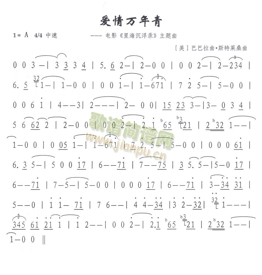 爱情万年青简谱