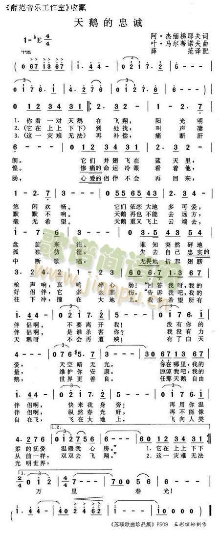 天鹅的忠诚简谱