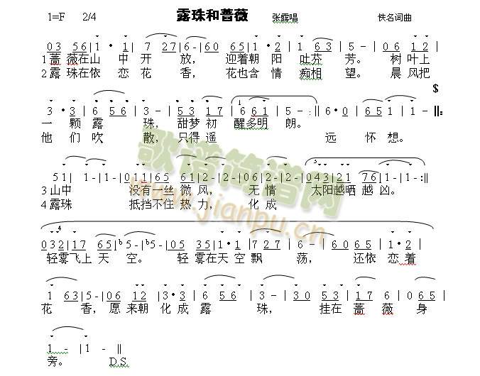 露珠与蔷薇简谱