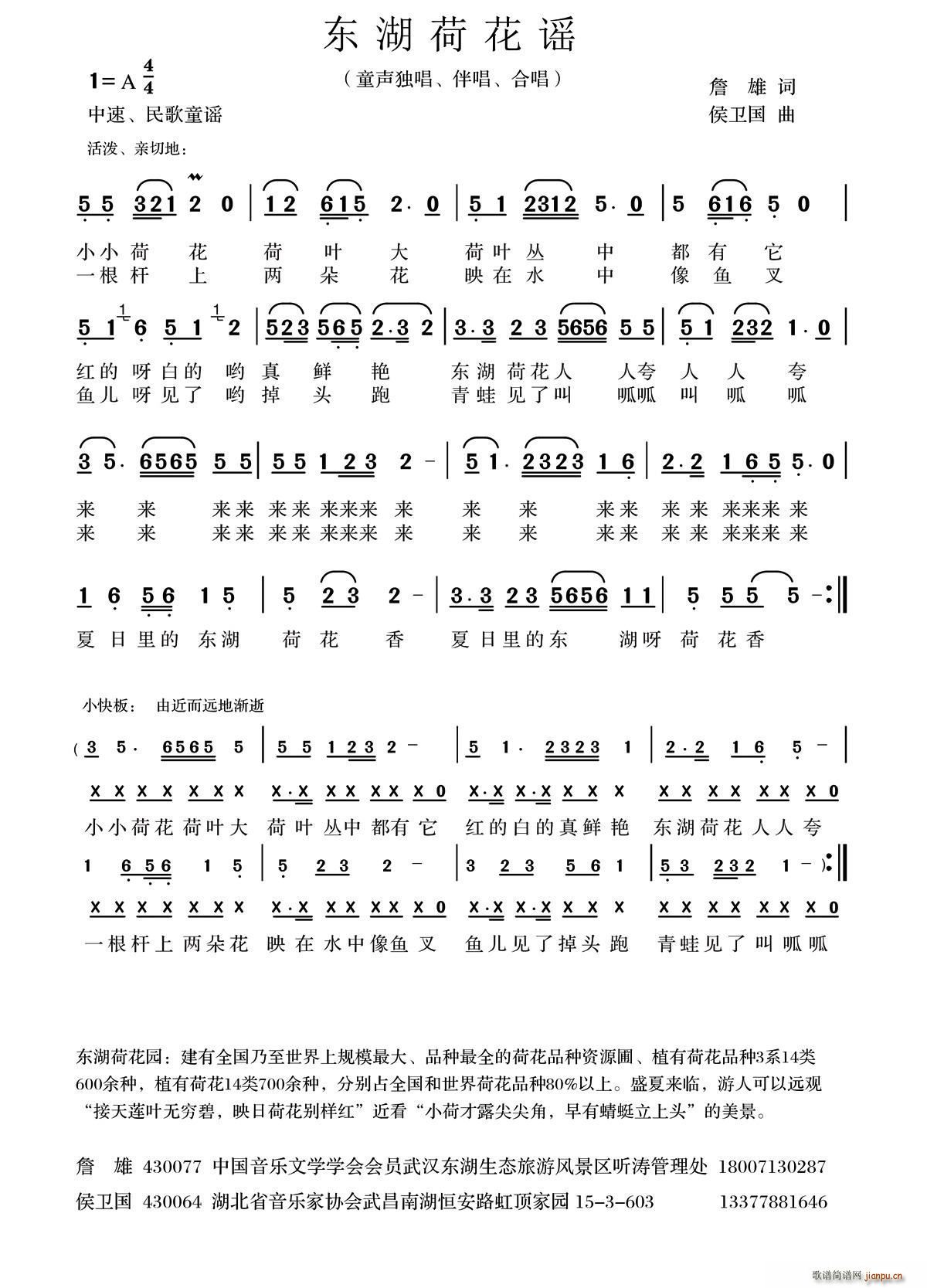 东湖荷花谣简谱