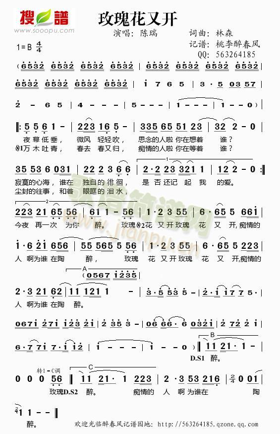 玫瑰花又开简谱