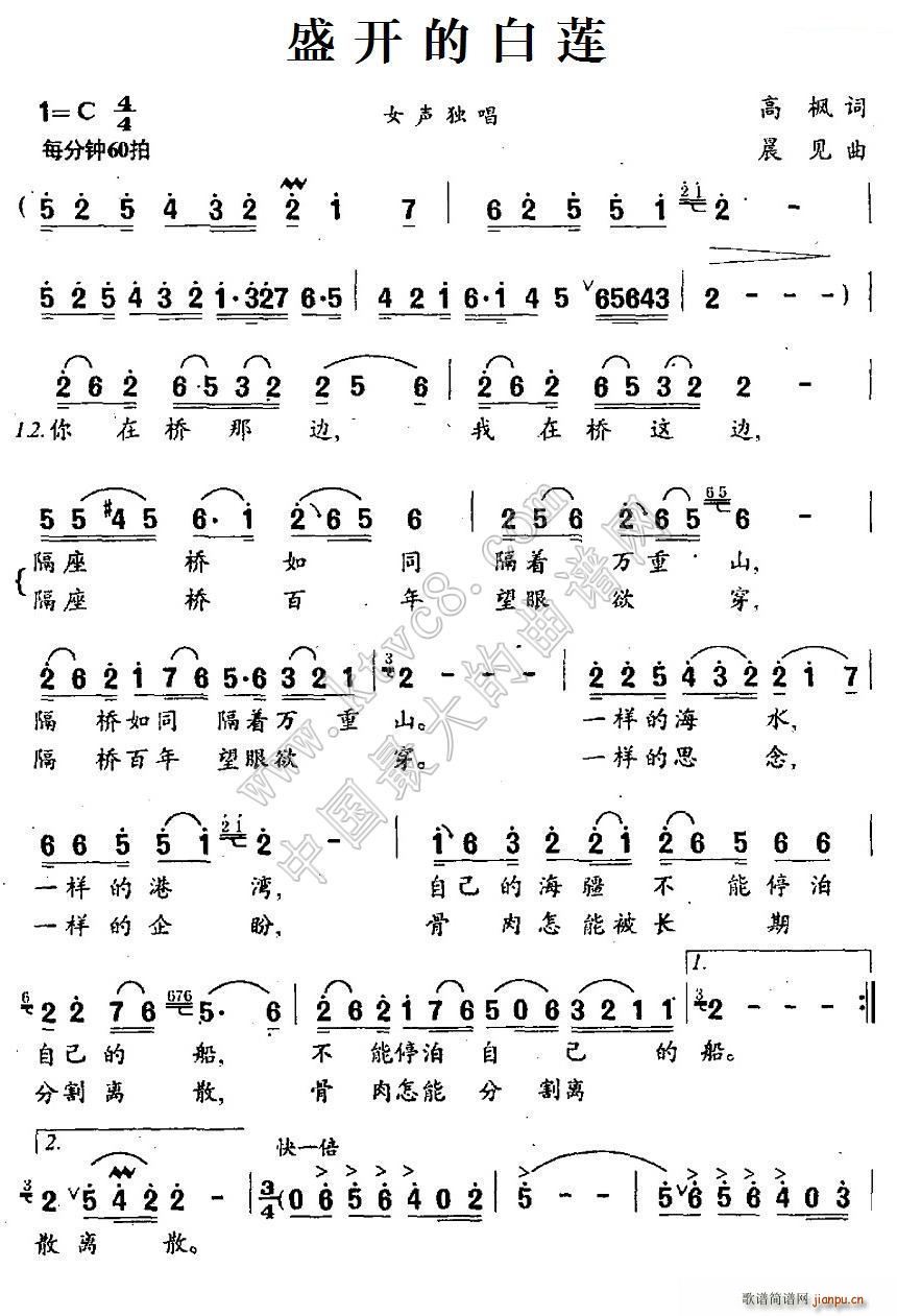 盛开的白莲简谱