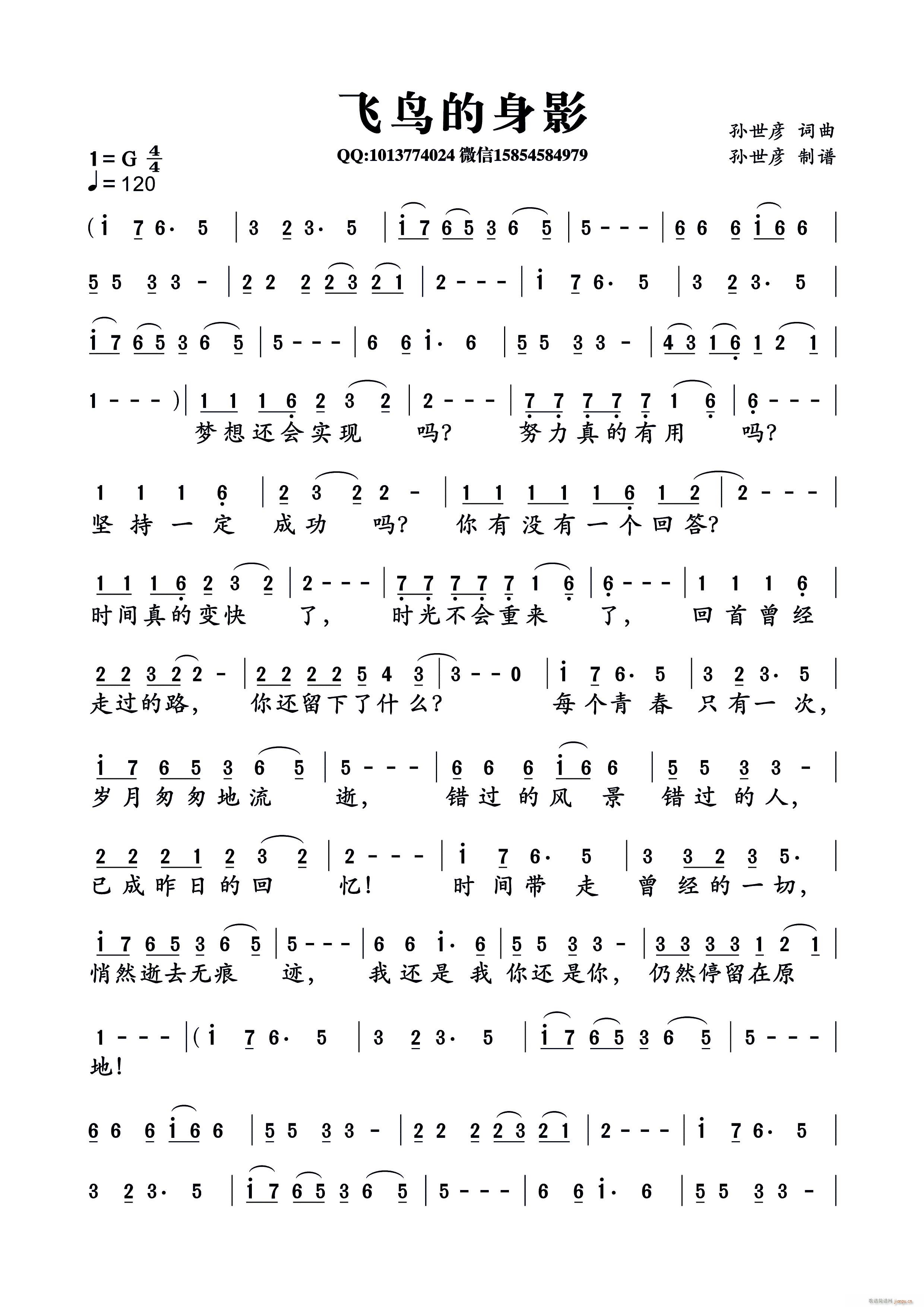 飞鸟的身影简谱