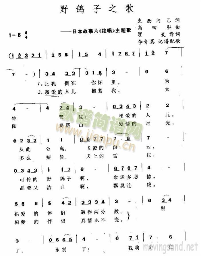 野鸽子之歌简谱