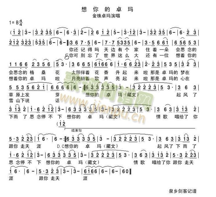 想你的卓玛简谱