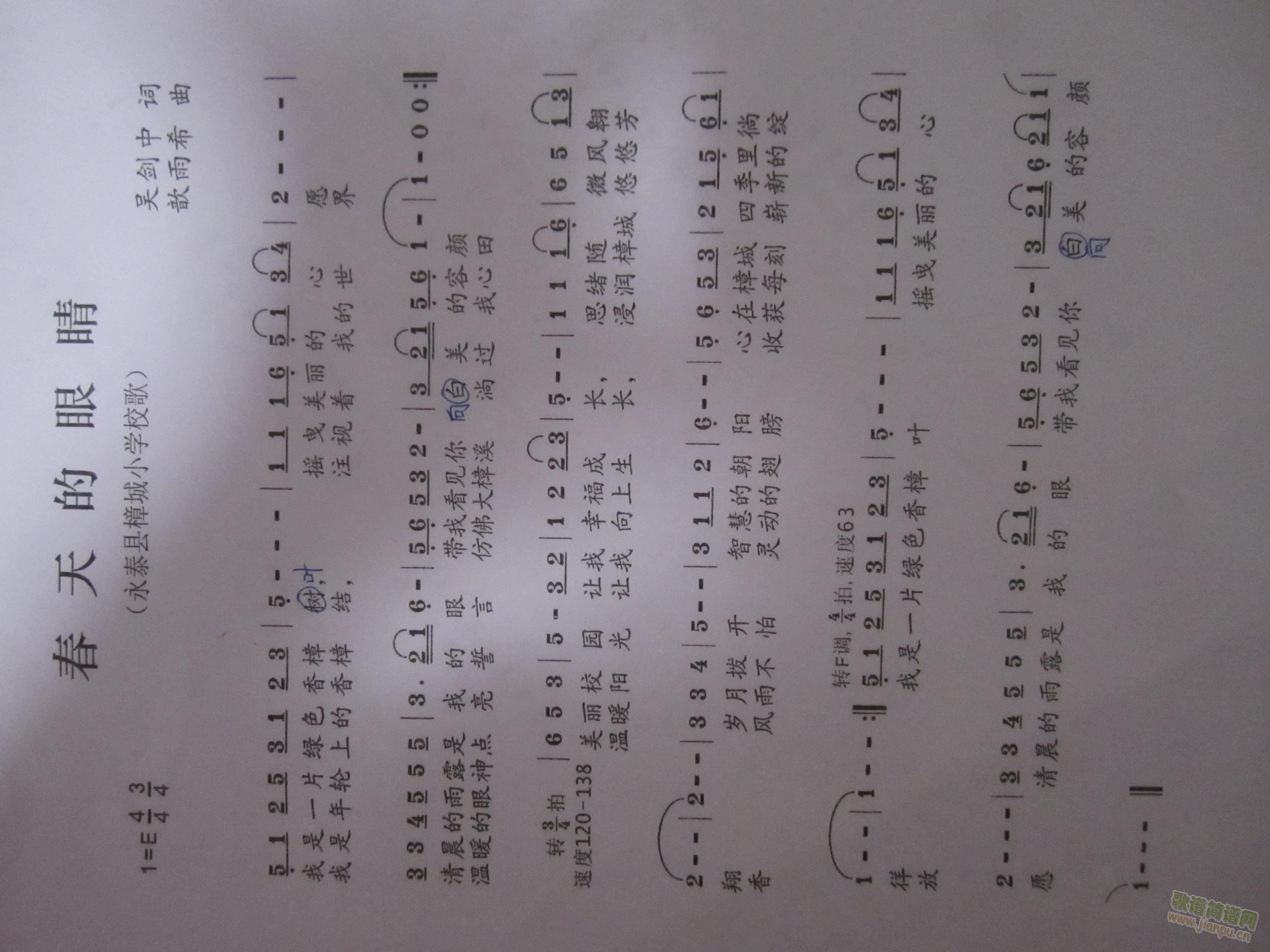 春天的眼睛简谱