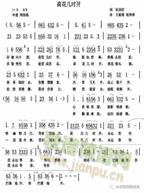 荷花几时开简谱