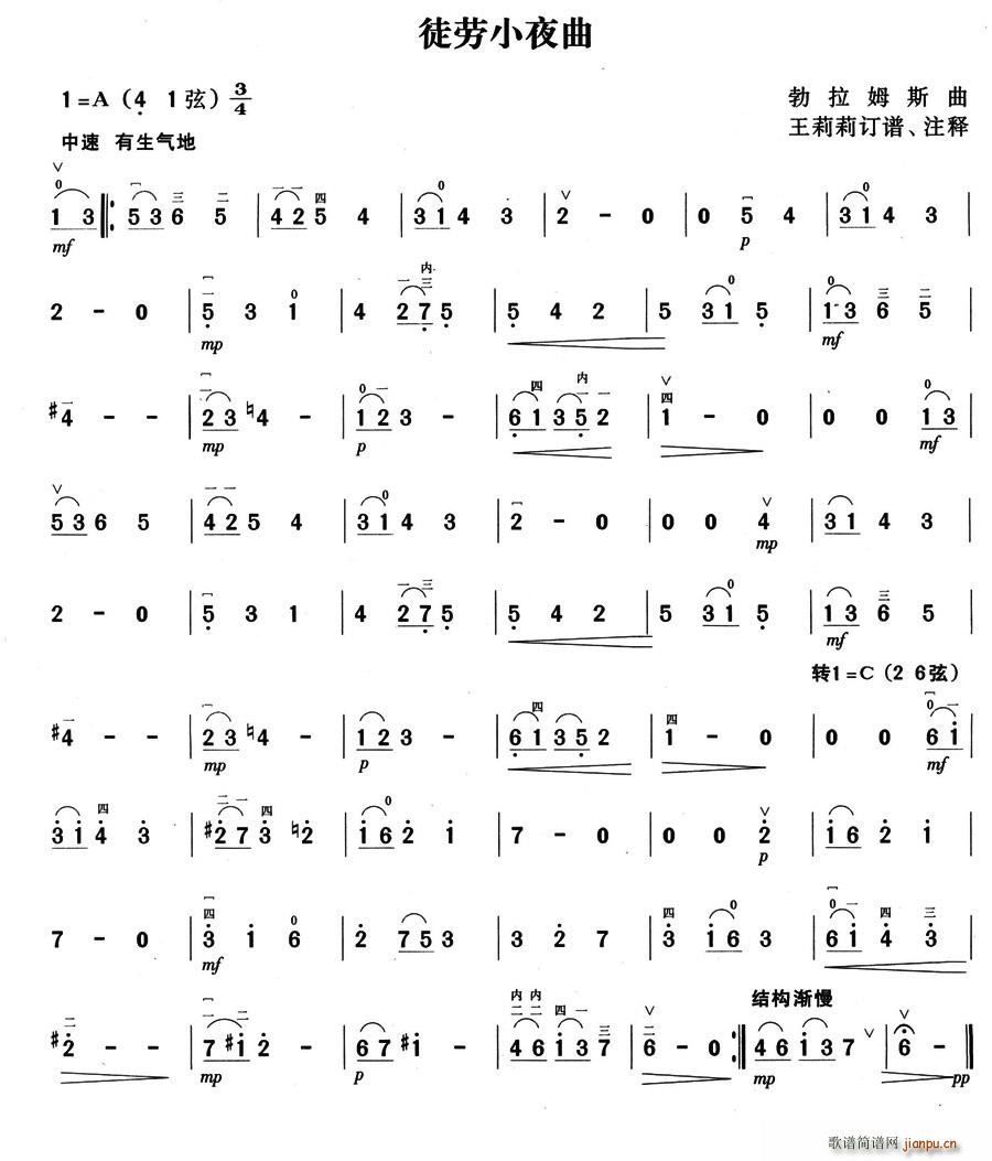 徒劳小夜曲简谱