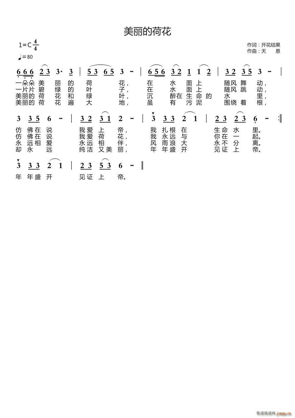 美丽的荷花简谱