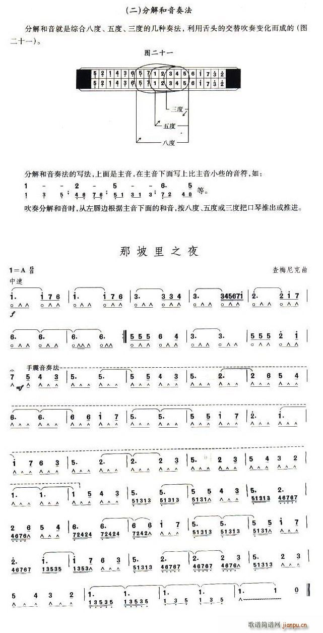 考级十级曲目：那坡里之夜简谱