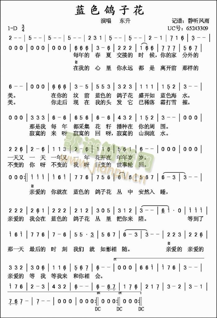 蓝色鸽子花简谱