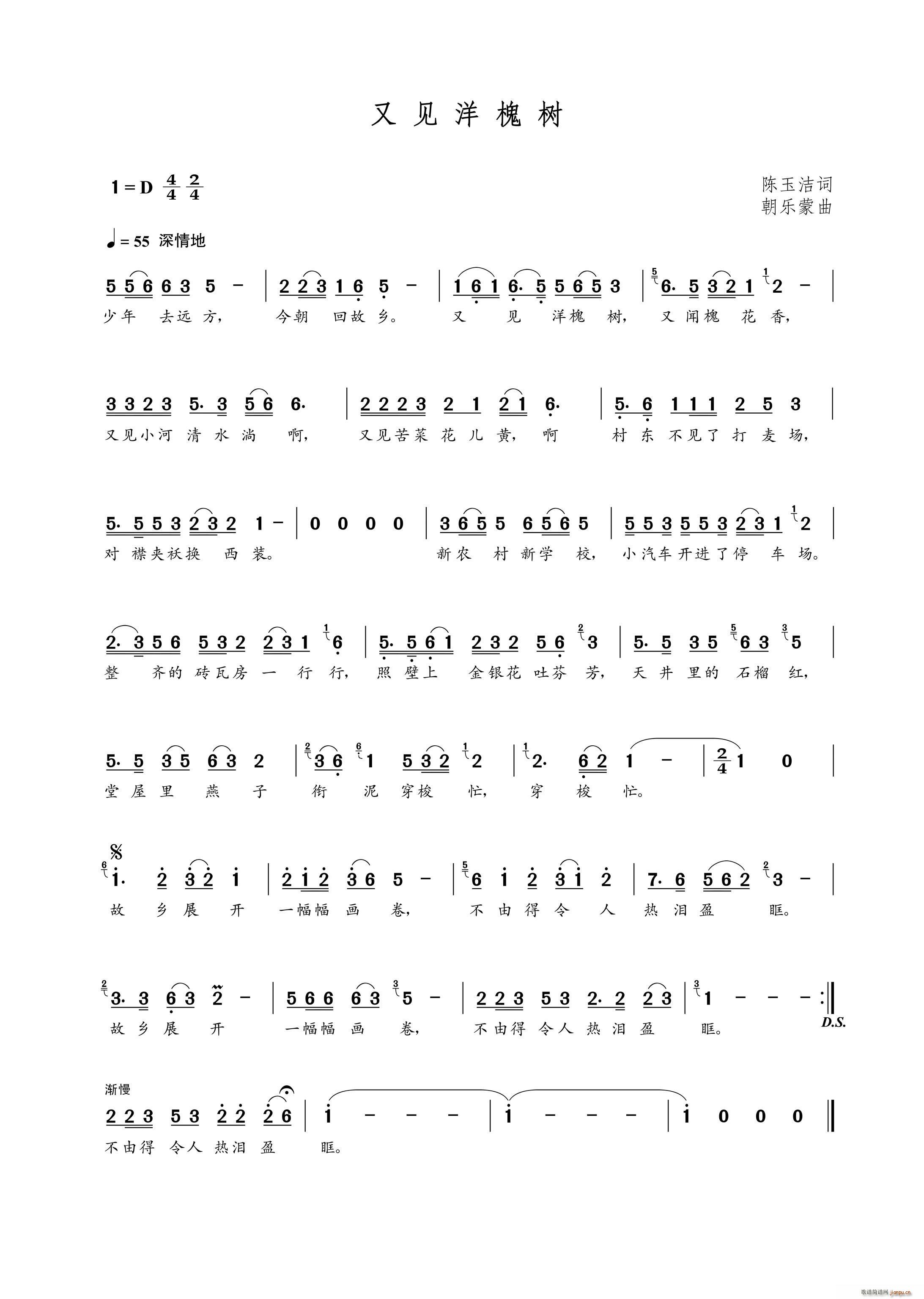 又见洋槐树（陈玉洁词 曲）简谱