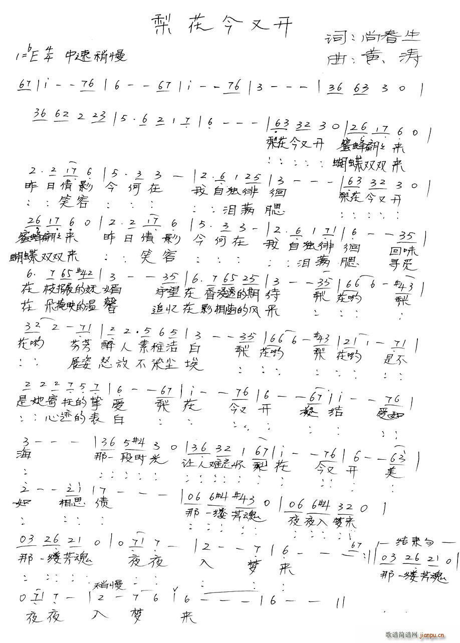 梨花今又开简谱