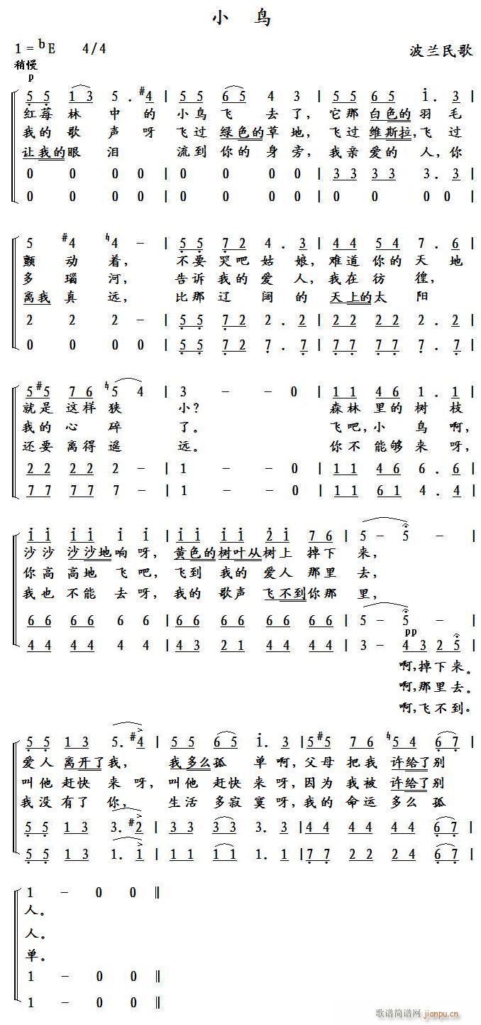 小鸟（波兰）简谱