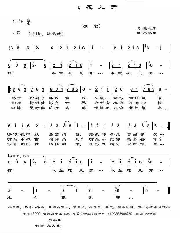 木兰花儿开简谱