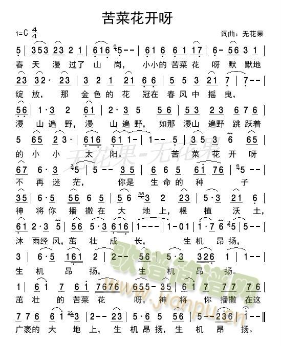苦菜花开呀简谱