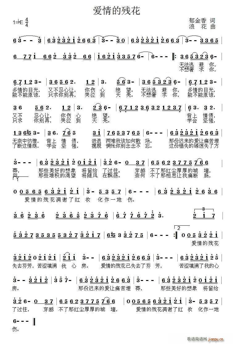 爱情的残花简谱