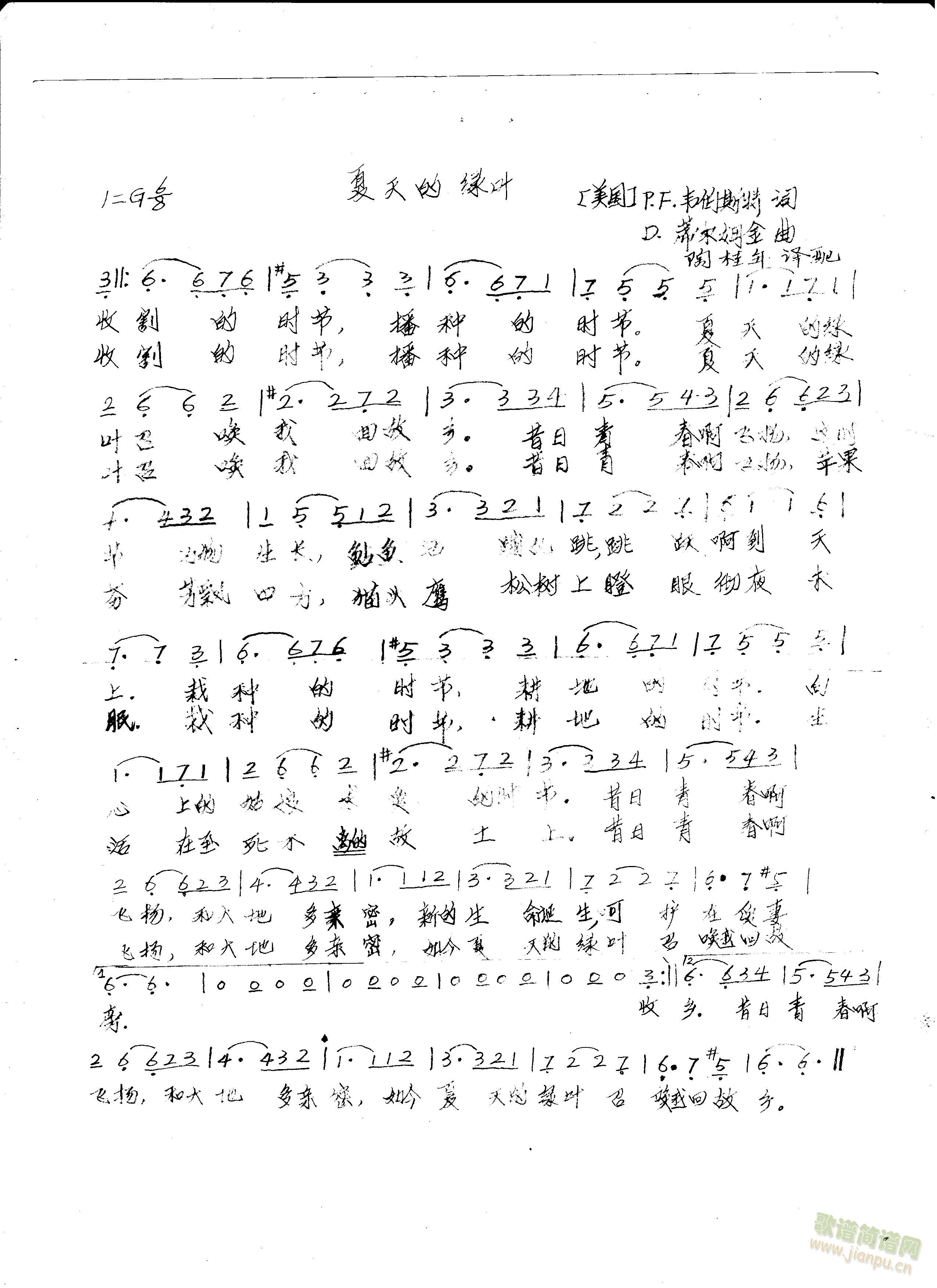 夏天的绿叶简谱