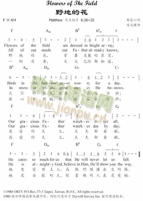 绿地的野花简谱