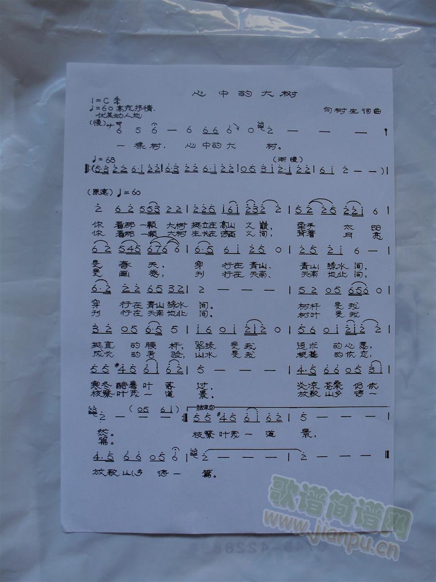 心中的大树简谱