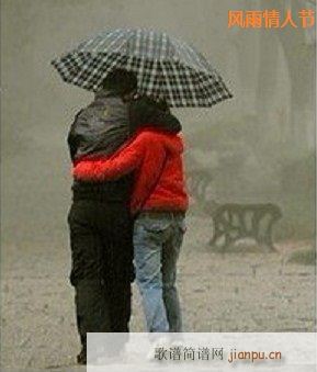 《风雨情人节》伴奏  作词/天成 作曲/郭京生●●●●●●简谱