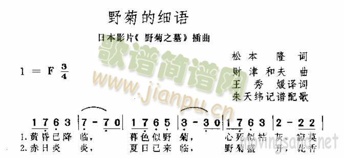 野菊的细语简谱