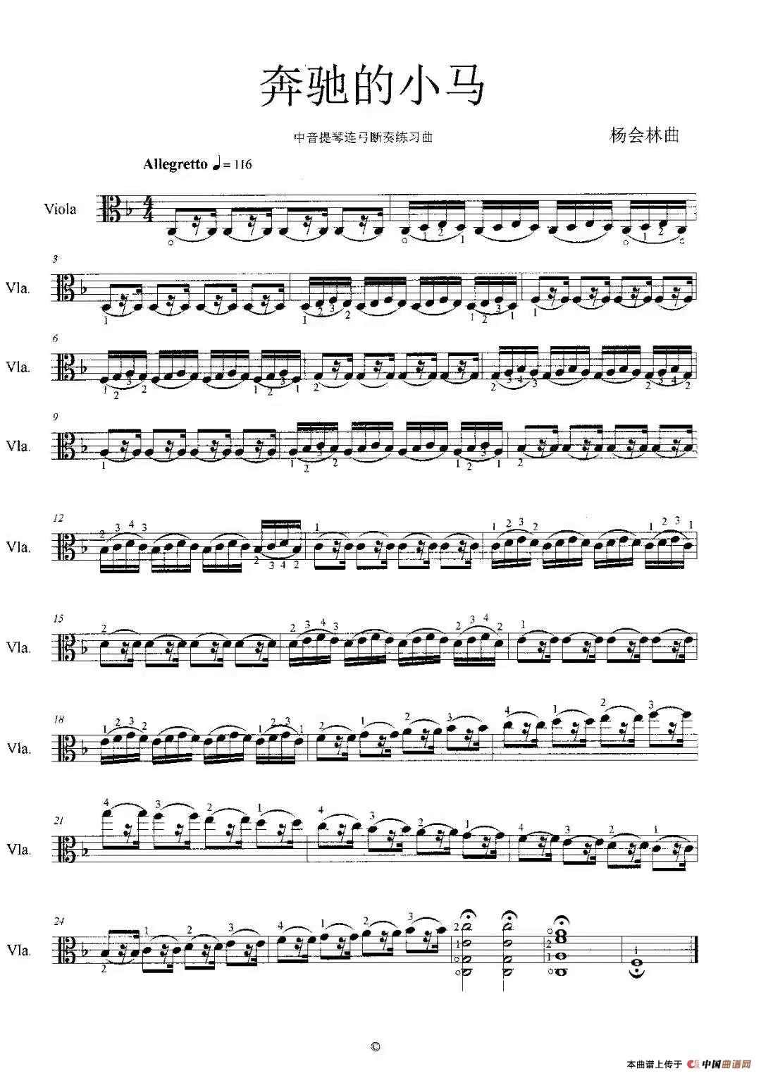 奔驰的小马（中音提琴连弓断奏练习曲）简谱