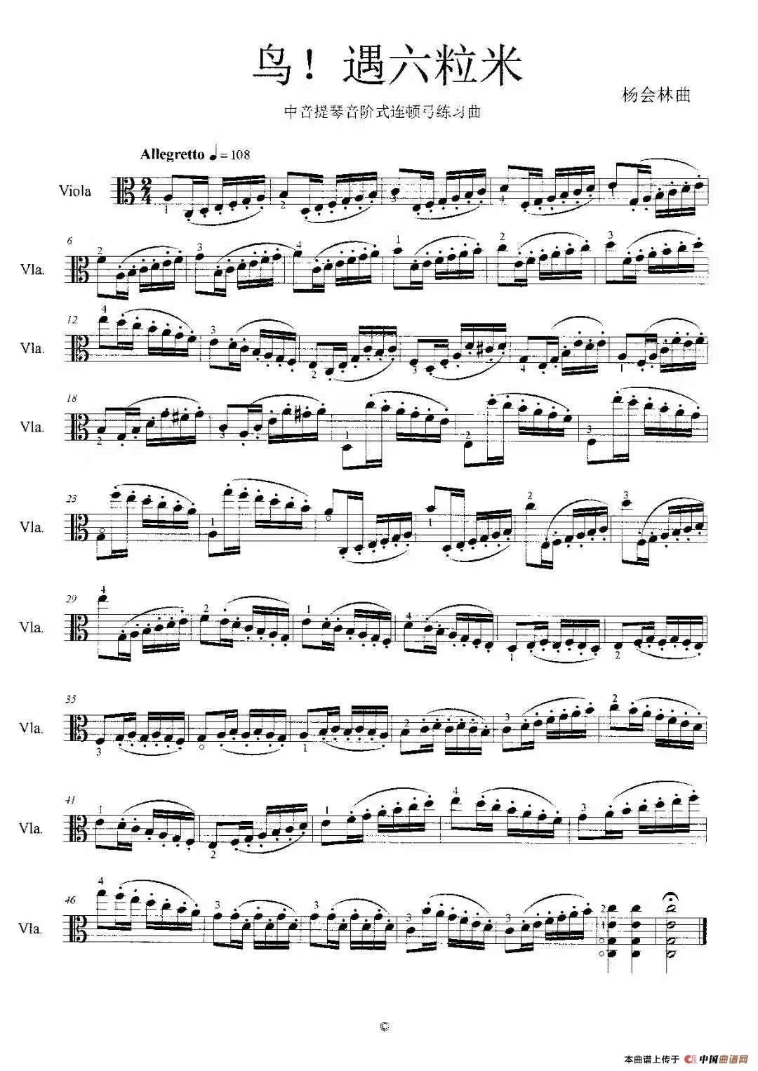 鸟！遇六粒米（中音提琴音阶式连顿弓练习曲）简谱