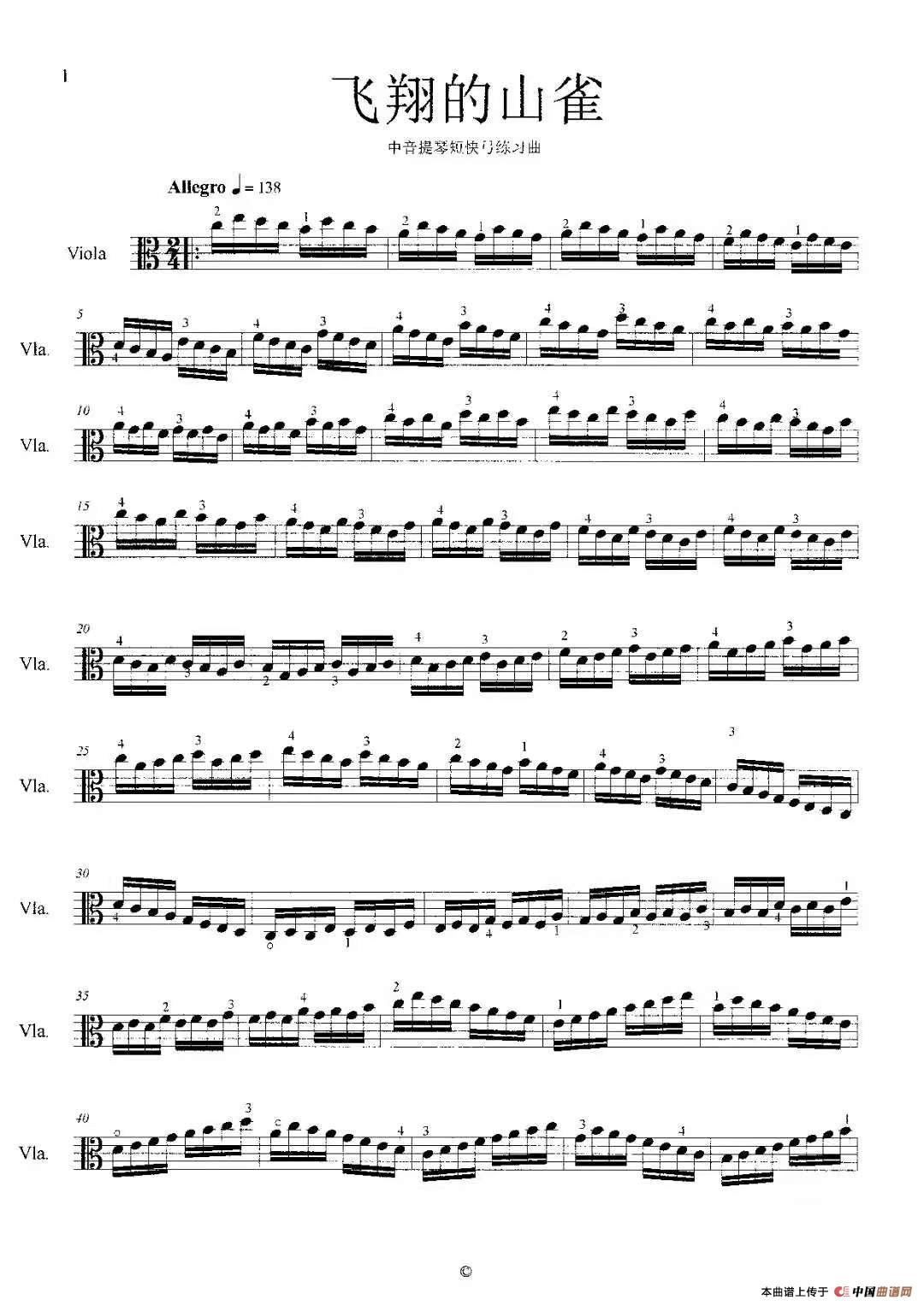 飞翔的山雀（中音提琴短快弓练习曲）简谱