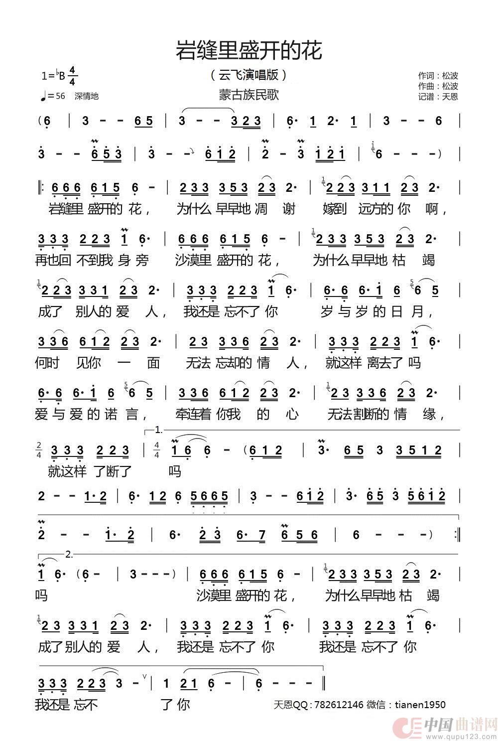 岩缝里盛开的花 简谱