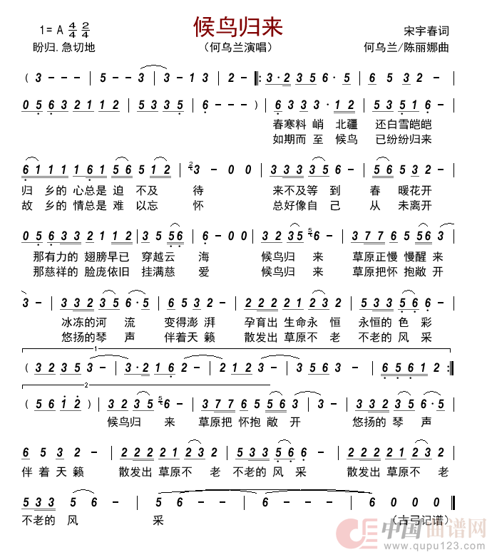 候鸟归来        简谱