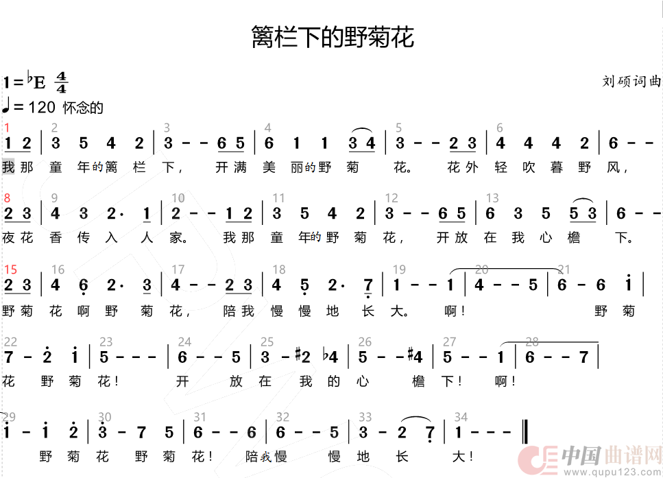 篱栏下的野菊花简谱