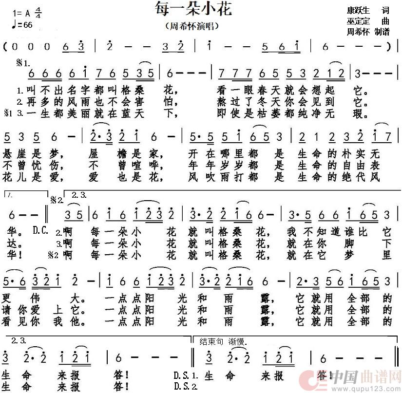 每一朵小花（周希怀演唱）简谱