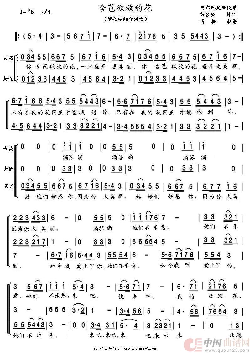 含苞欲放的花（梦之旅版）简谱