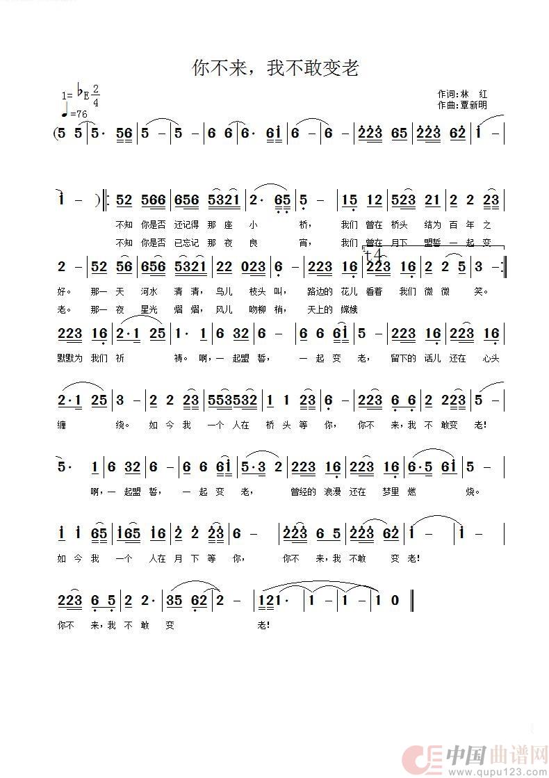 你不来，我不敢老简谱
